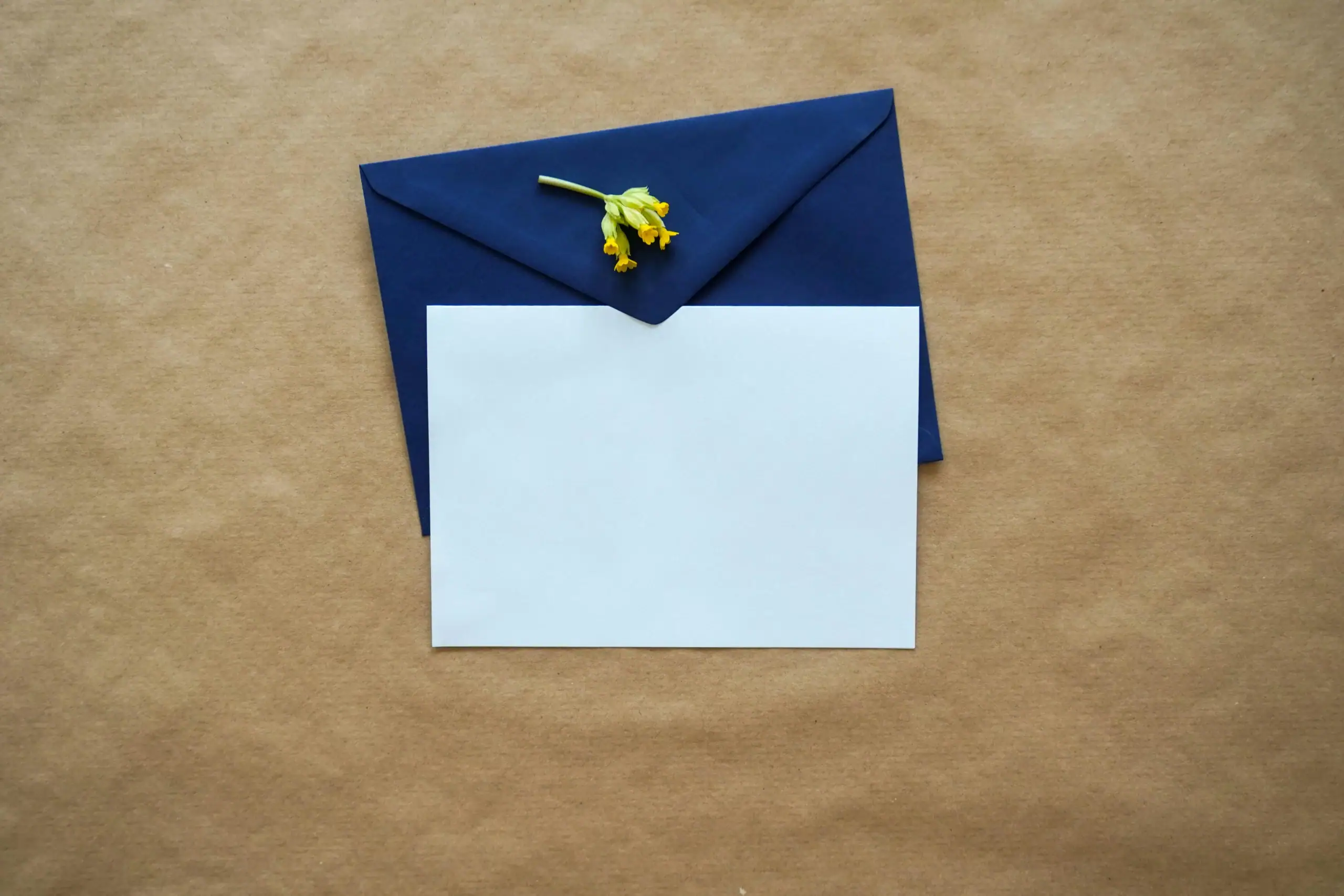 Carte blanche posée sur une enveloppe bleue avec une petite fleur, représentant l’écriture d’un message de condoléances pour un deuil
